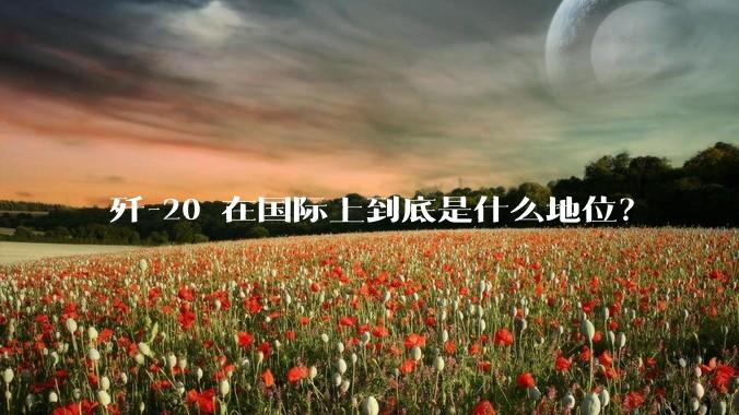 歼-20 在国际上到底是什么地位？