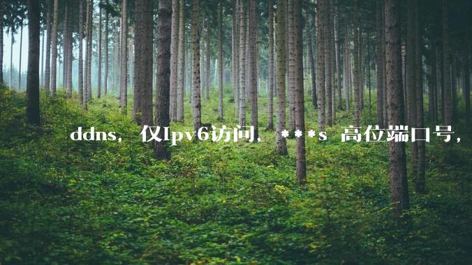 ddns，仅ipv6访问，***s 高位端口号，需要ICP备案么？会被运营商封锁么？