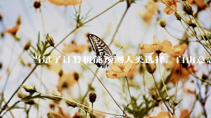 当量子计算机能预测人类选择，自由意志是否沦为算法的注脚？