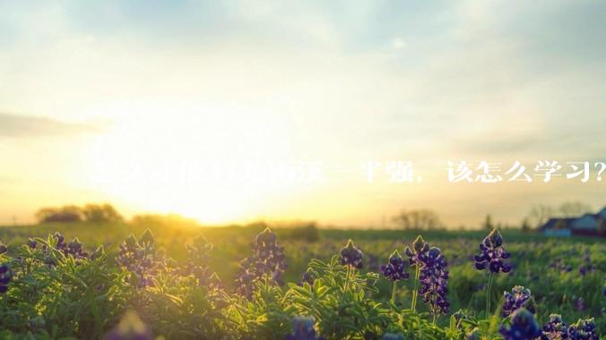 怎么才能有尤雨溪一半强，该怎么学习？